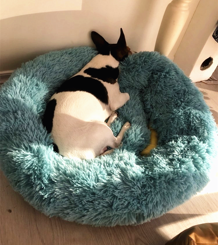 Long Plush Super Soft Dog Bed