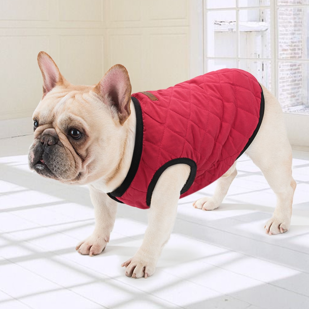 Winter Jacket For Dogs and Cats