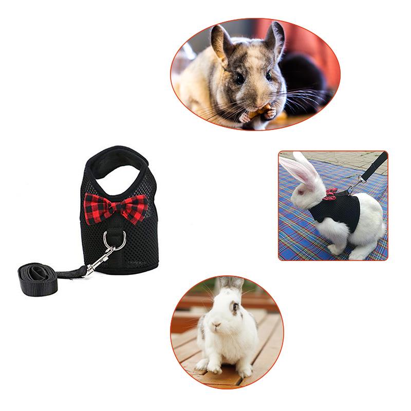 Rabbit Leash Lead Vest