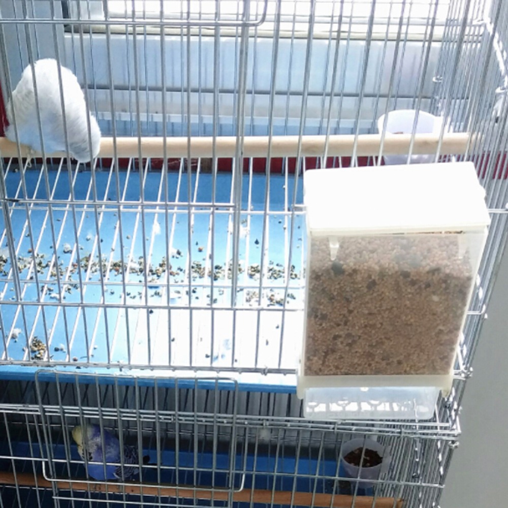 Removable Feeder Pet Bird Container
