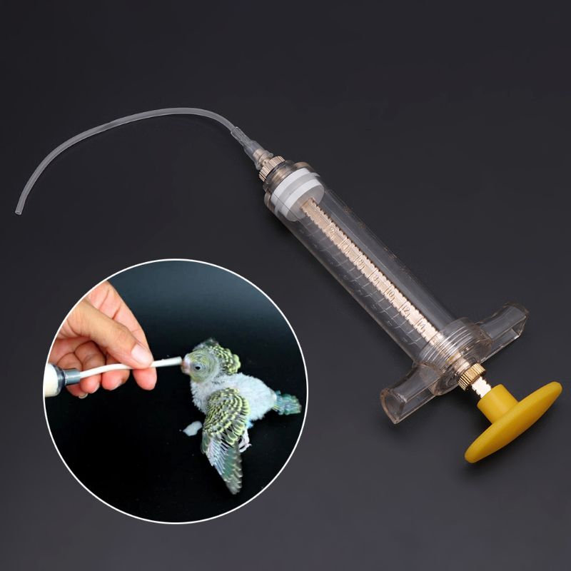 Parrot Chick Feeder Copper Head Syringe Hose