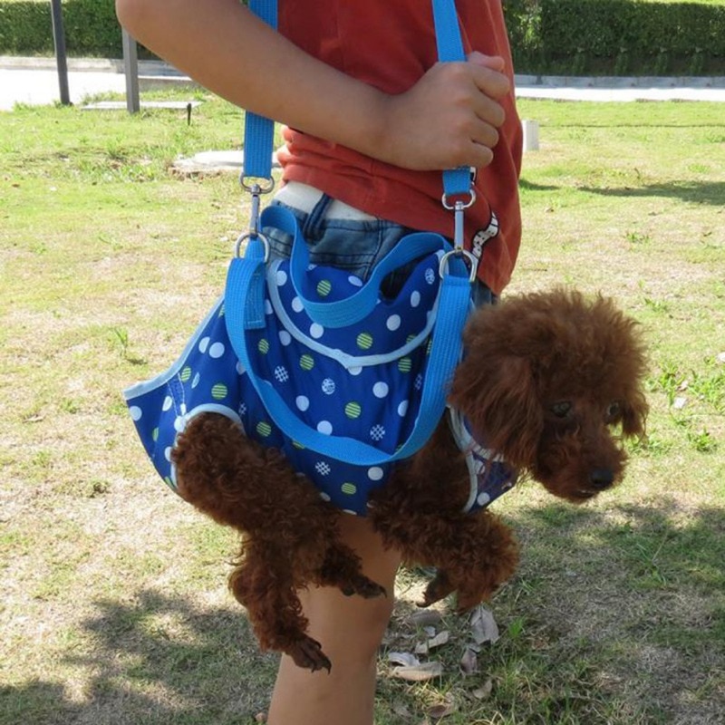 Pet Carrier For Small Dogs and Cats Backpack