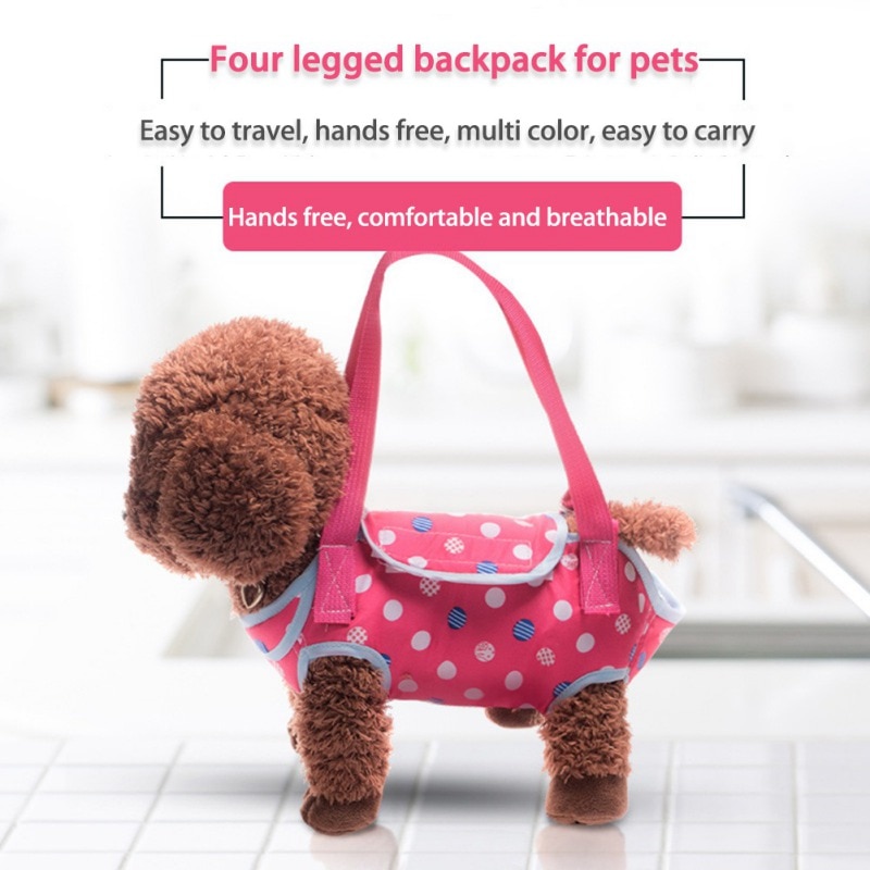 Pet Carrier For Small Dogs and Cats Backpack