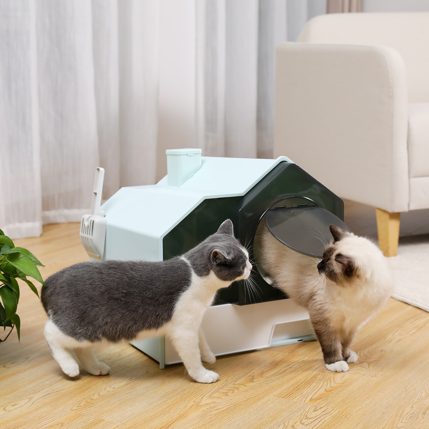 Litter Boxes for Large Cats Foldable Litter Box