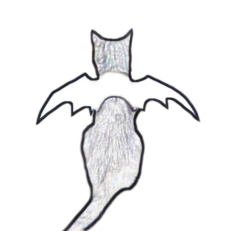 Bat Wings Costume for Cats and Dogs.