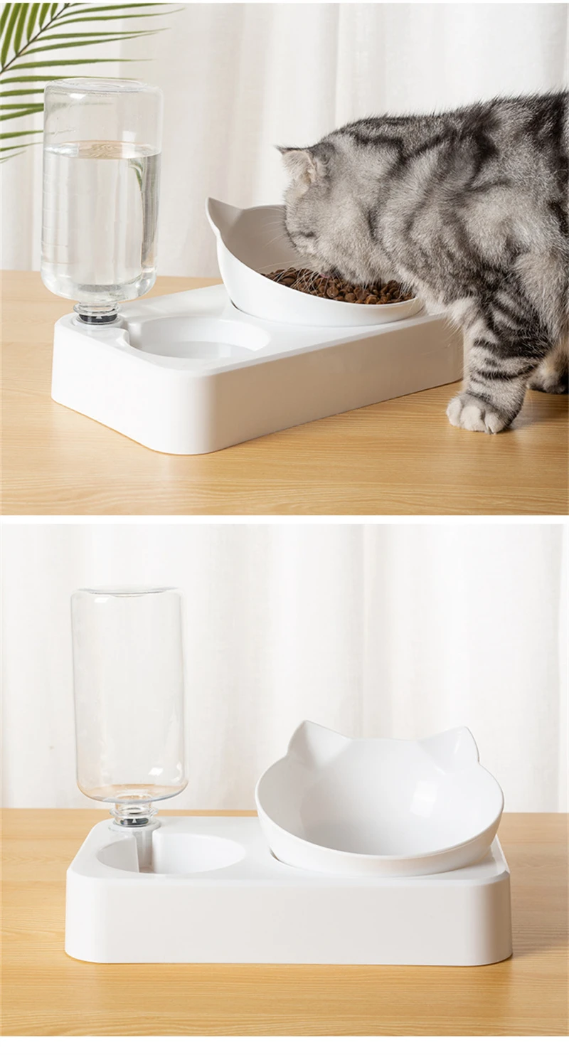 2-in-1 Pet Feeding Bowl with Automatic Water Dispenser and Removable Stainless Steel Bowls