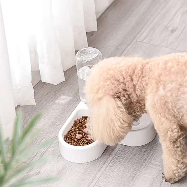 Corner small Dog or Cat Automatic Drinking with feeding Bowl - Image 2