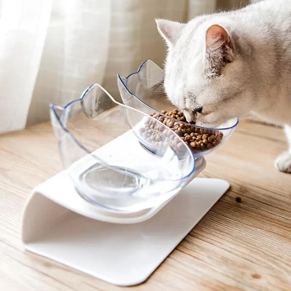 Non-Slip Double Cat or Dog Bowl With Stand