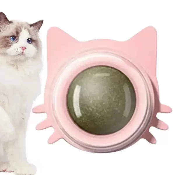 Catnip Treat Ball | Wall-Mounted Rotating Snack for Cats, Kittens - Image 5