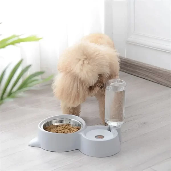 2-in-1 Cat Bowl & Automatic Water Dispenser | Pet Food & Water Feeder - Image 3