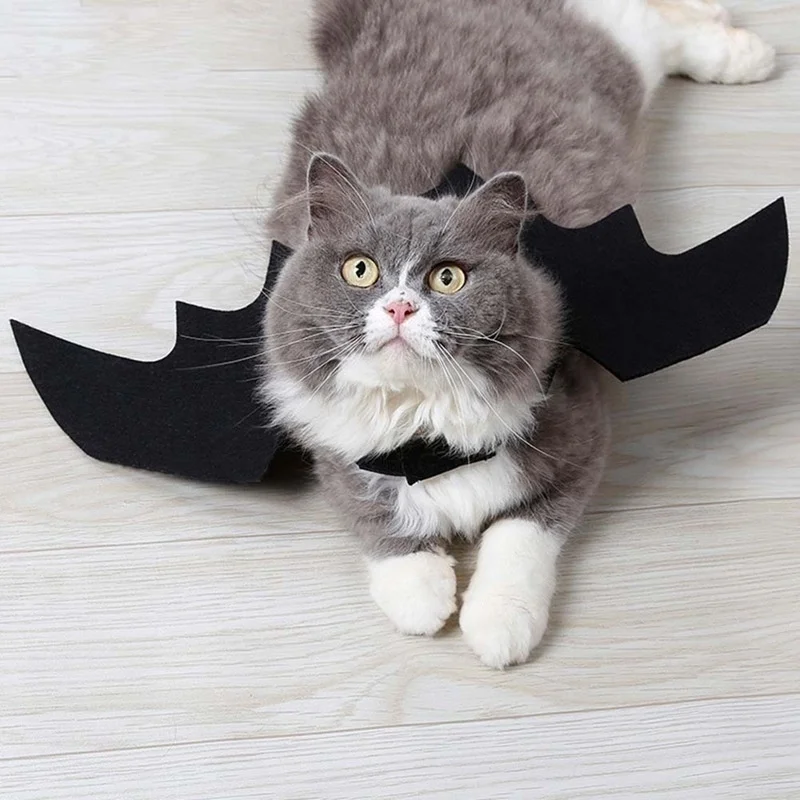 Halloween Bat Wings Pet Costume | Black Felt Harness for Cats & Dogs