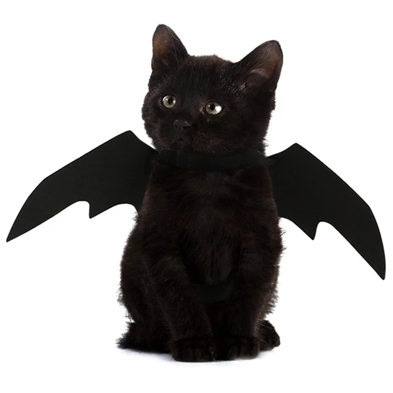 Halloween Bat Wings Pet Costume | Black Felt Harness for Cats & Dogs