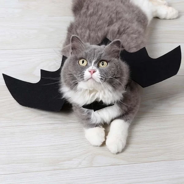 Halloween Bat Wings Pet Costume | Black Felt Harness for Cats & Dogs - Image 5