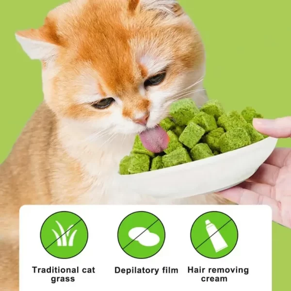 50 g Freeze-Dried Cat Grass Snacks | Teething & Hairball Relief Treats - Image 3