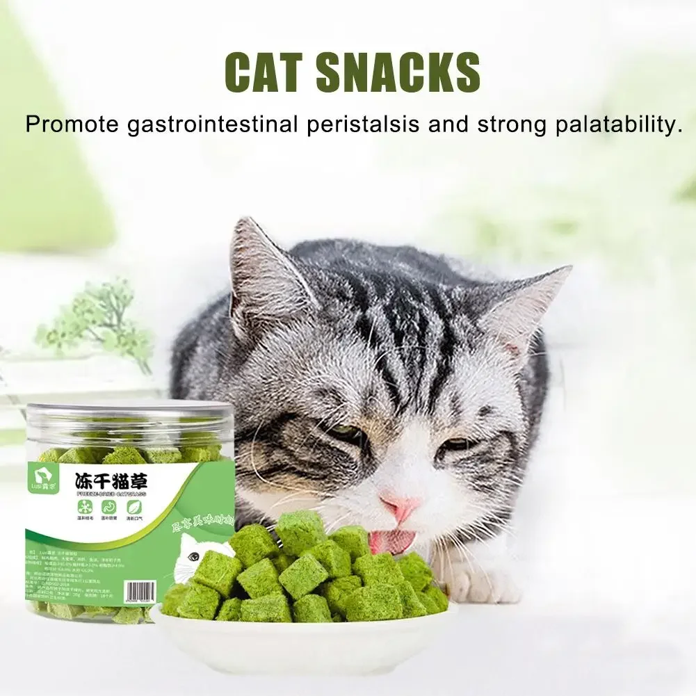 50 g Freeze-Dried Cat Grass Snacks | Teething & Hairball Relief Treats