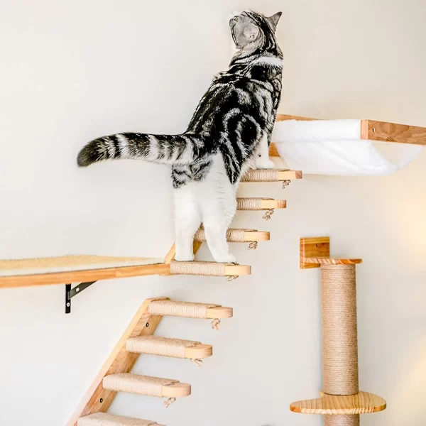 Cat Climbing Shelf Wall-Mounted with Sisal Scratching Post – Multi-Level Cat Stairway and Activity Centre - Image 2