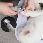 Pet Nail Clipper with LED Light: 5x Magnifying Trimmer for Cats, Dogs and Small Pets