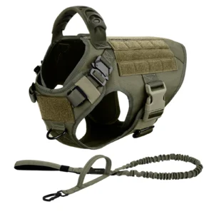 Tactical No-Pull Dog Harness & Bungee Leash Set – Handle, MOLLE Panels, Metal Buckles (S–XL)