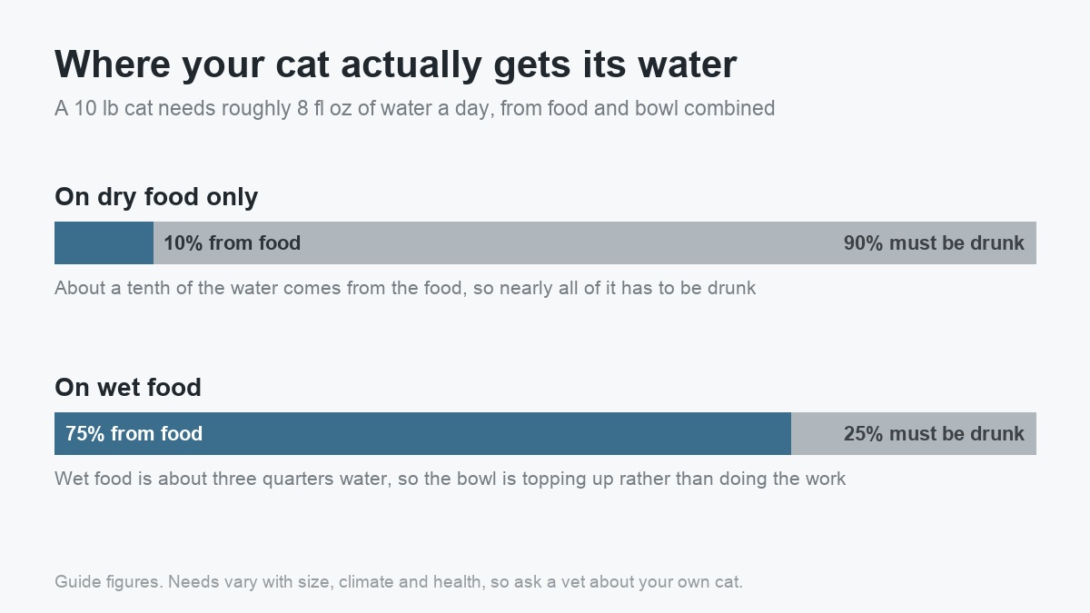 Chart showing 10 percent of water comes from dry food against 75 percent from wet food