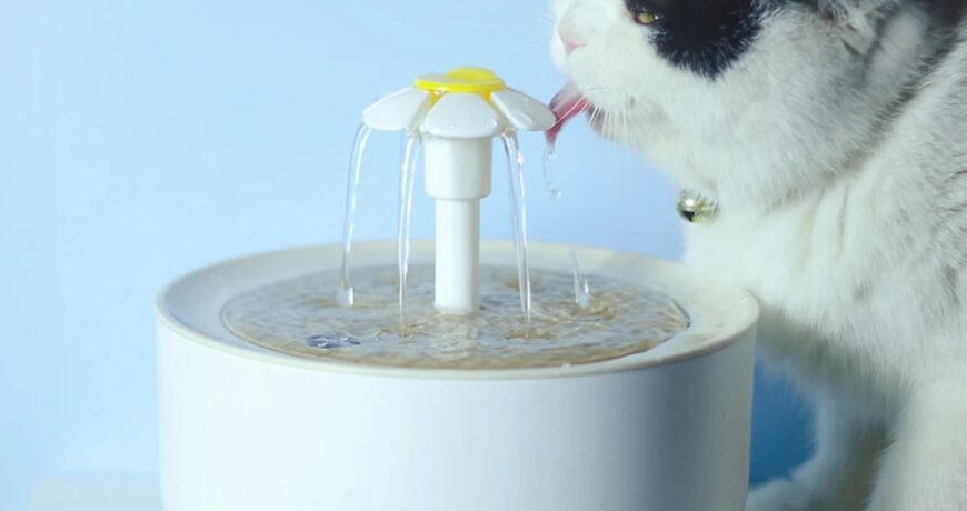 A cat drinking from a quiet filtered pet water fountain